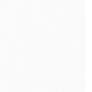 Meet your Posher, Ariaunna